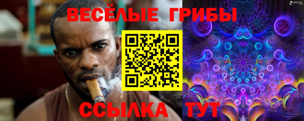 Галлюциногенные грибы Magic Shrooms Джанкой